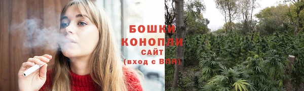 ПСИЛОЦИБИНОВЫЕ ГРИБЫ Нея