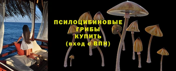 mix Надым