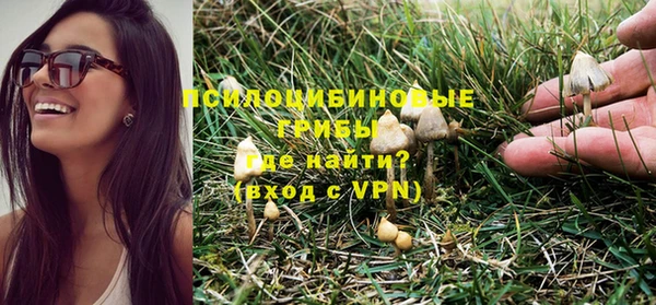 mix Надым