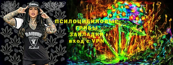 ПСИЛОЦИБИНОВЫЕ ГРИБЫ Нея