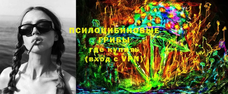 купить закладку  Калтан  Галлюциногенные грибы MAGIC MUSHROOMS 