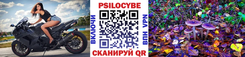 Псилоцибиновые грибы GOLDEN TEACHER  мориарти как зайти  Калтан  продажа наркотиков 
